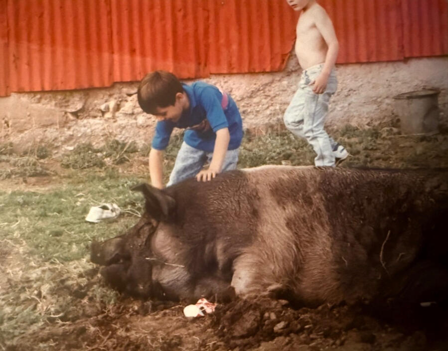 Photograph from this chapter 6